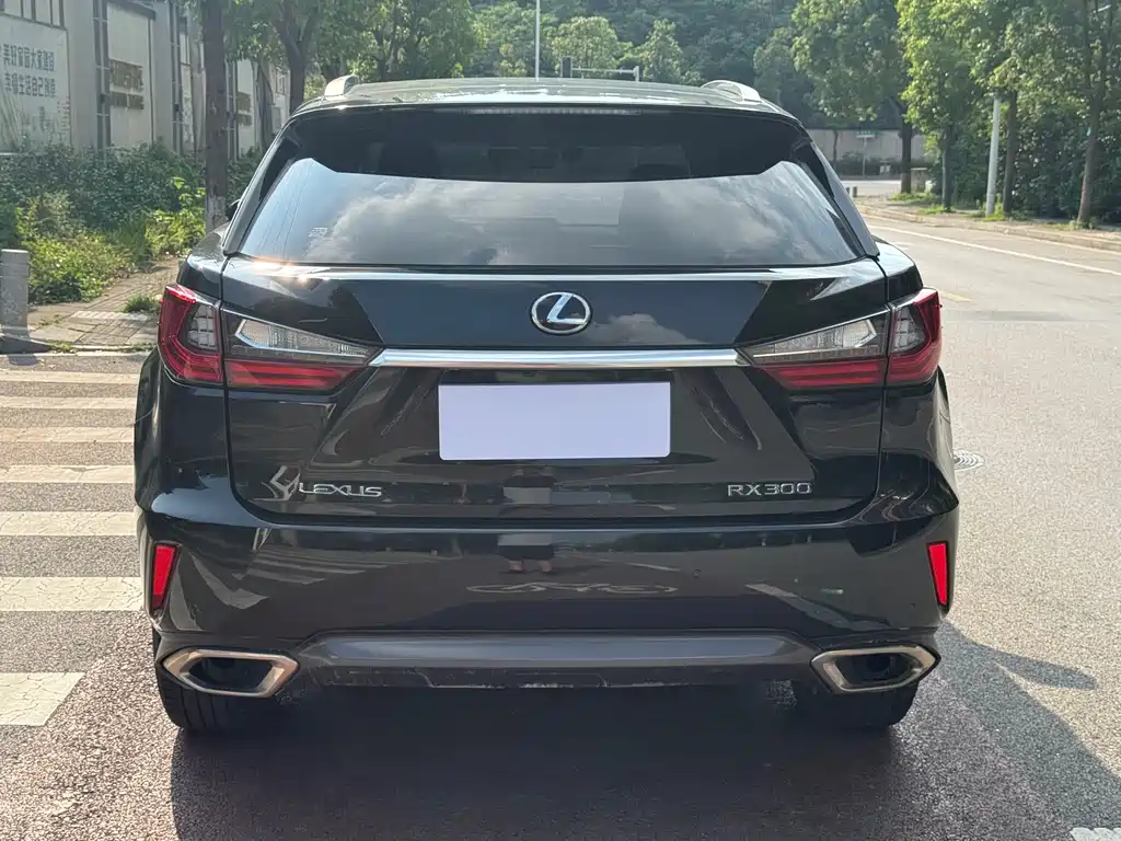 Lexus RX 2016 300 Elegant V