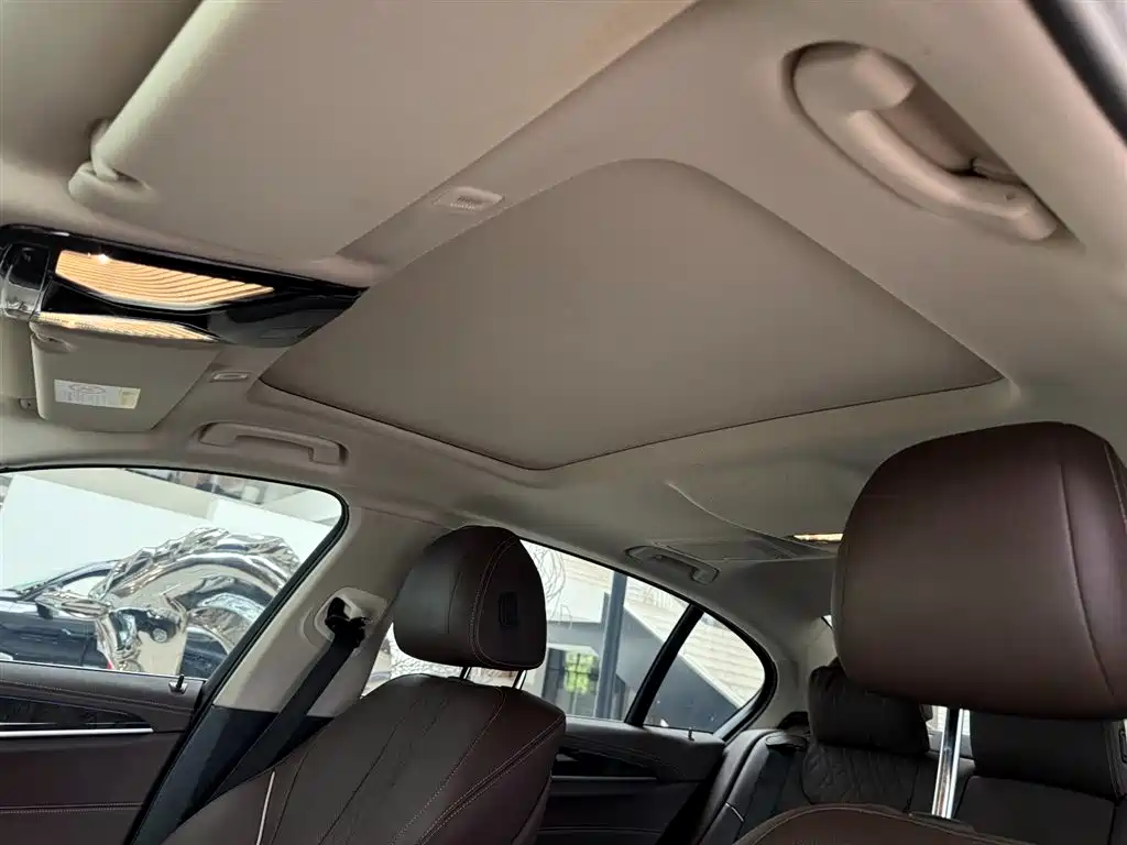 BMW 5 Series 5 2021 525Li Luxury