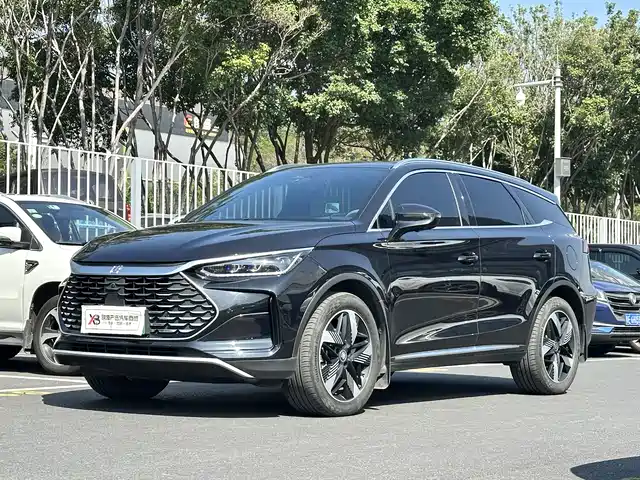 BYD TANGXIN ENERGY 2024