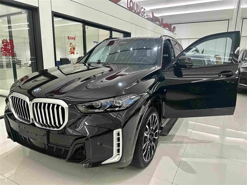 BMW X5 — миниатюра 5