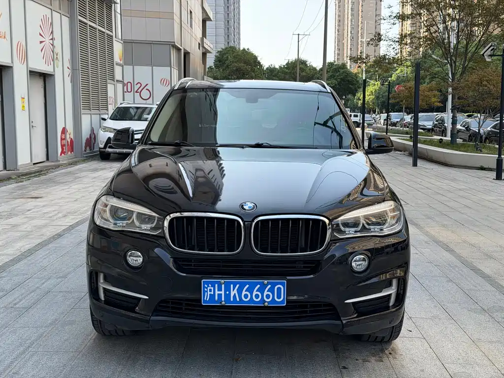 BMW X5 (Import) — миниатюра 2