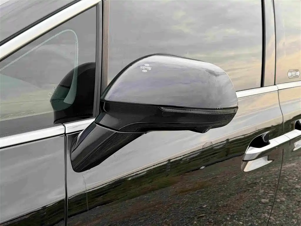 Denza Denza D9 — миниатюра 17