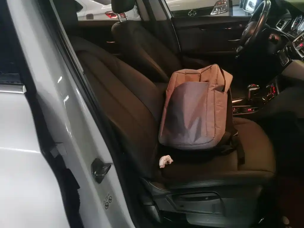 BMW 2 Series Active Tourer — миниатюра 25