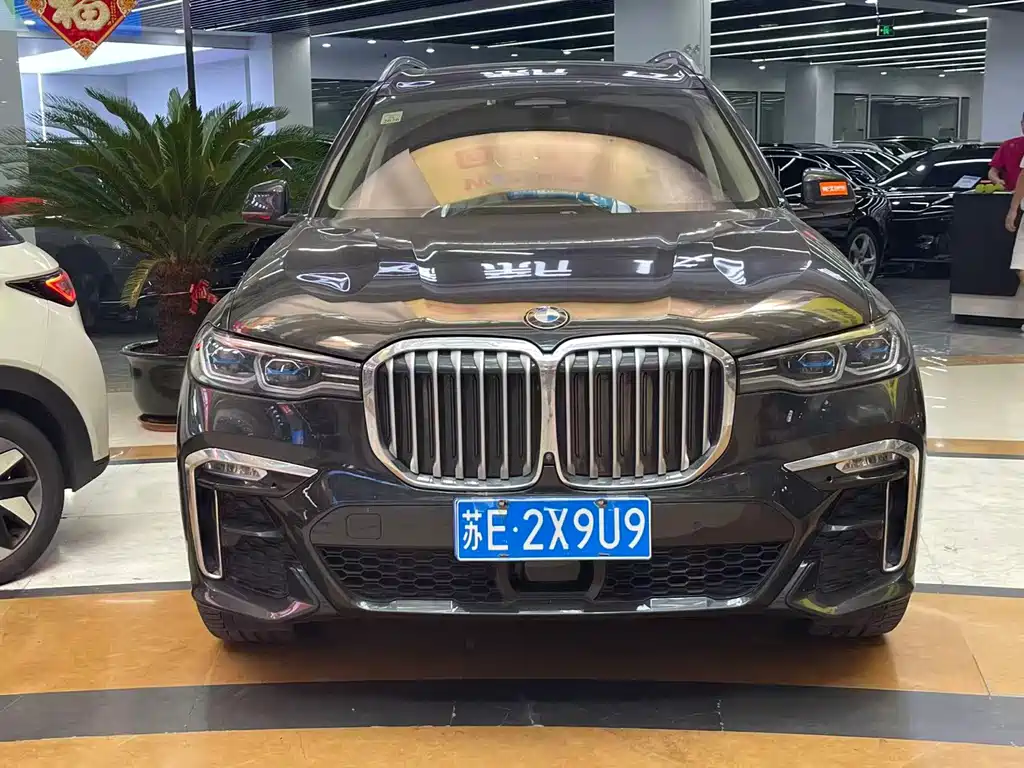 BMW X7 — миниатюра 2