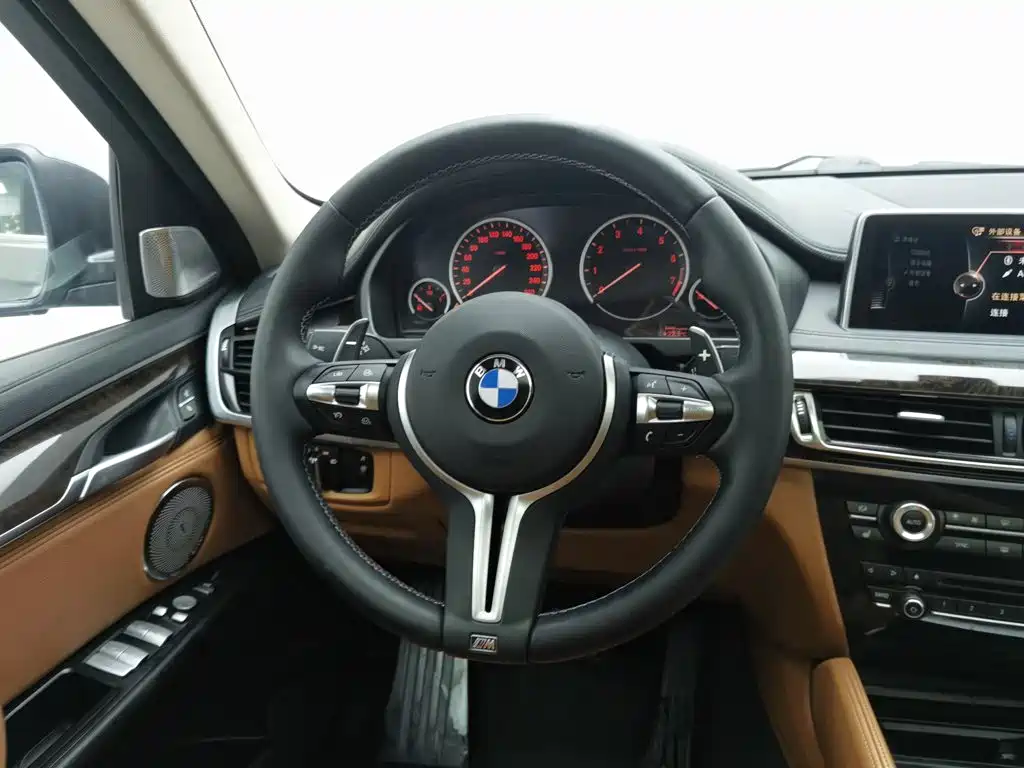 BMW X6 — миниатюра 11