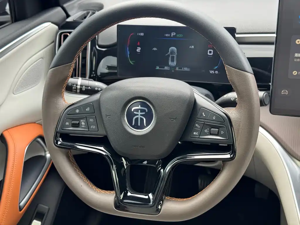 BYD Pro New Energy — миниатюра 12