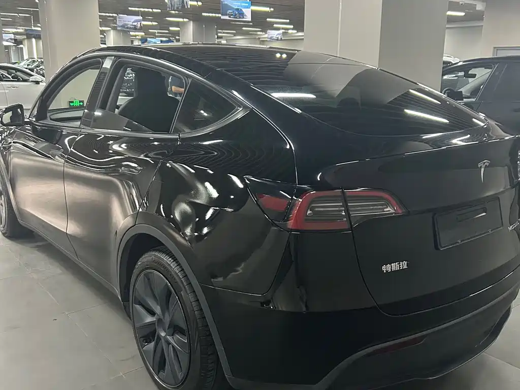 Tesla Model Y — миниатюра 7
