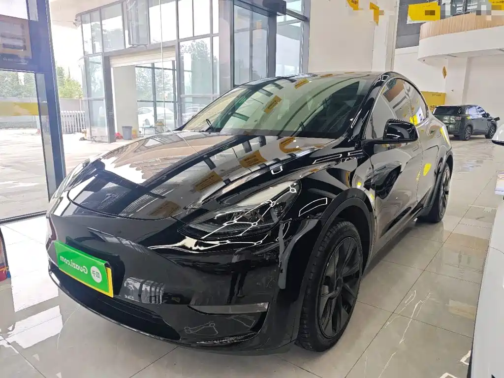 Tesla Model Y — миниатюра 2