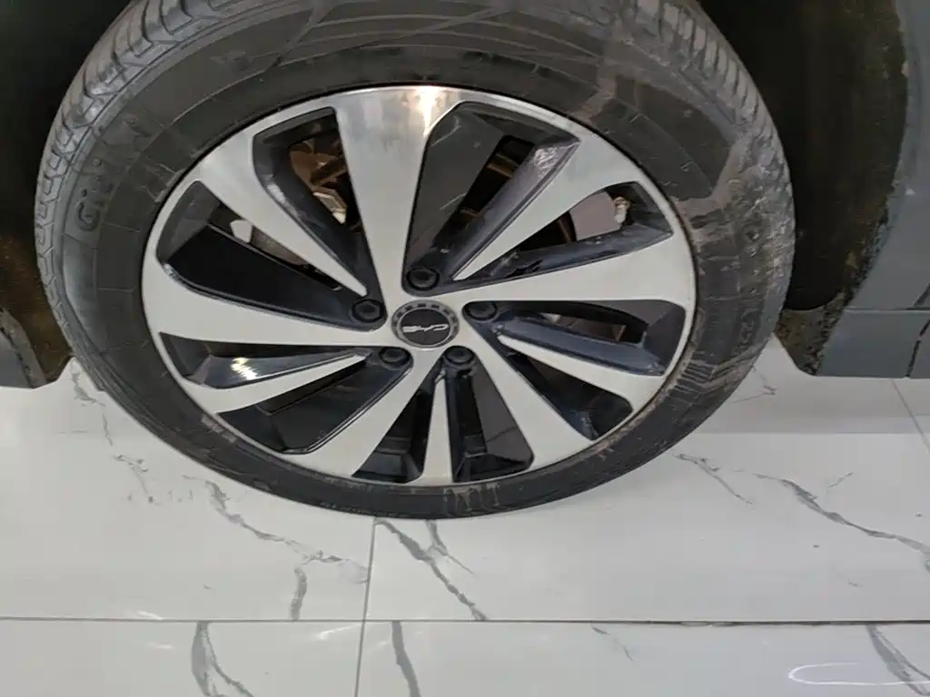 BYD PLUS New Energy — миниатюра 23