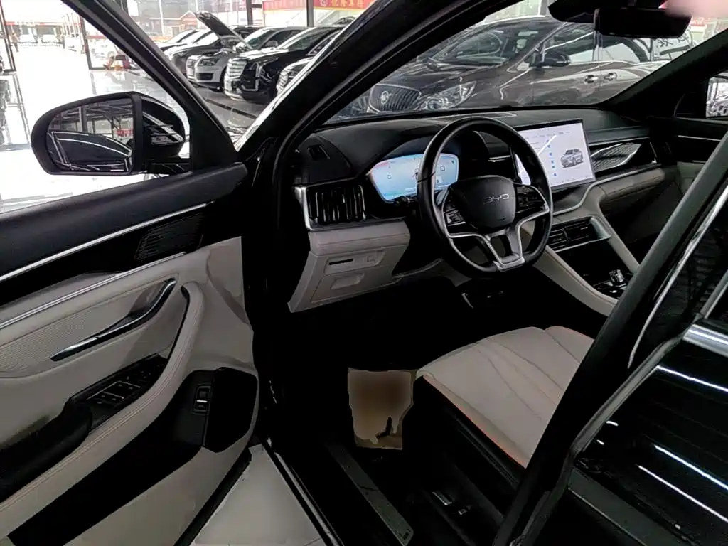 BYD PLUS New Energy — миниатюра 16