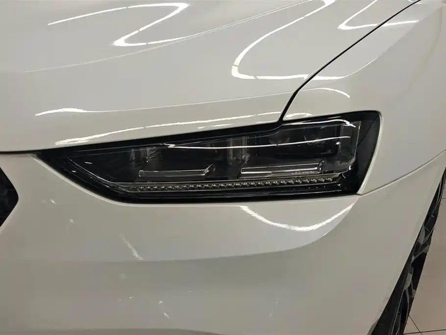 WEI PAI WEI BRAND VV7