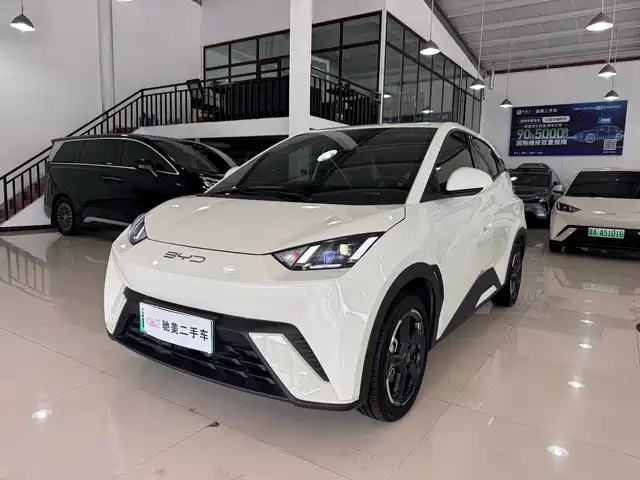 BYD Seagull