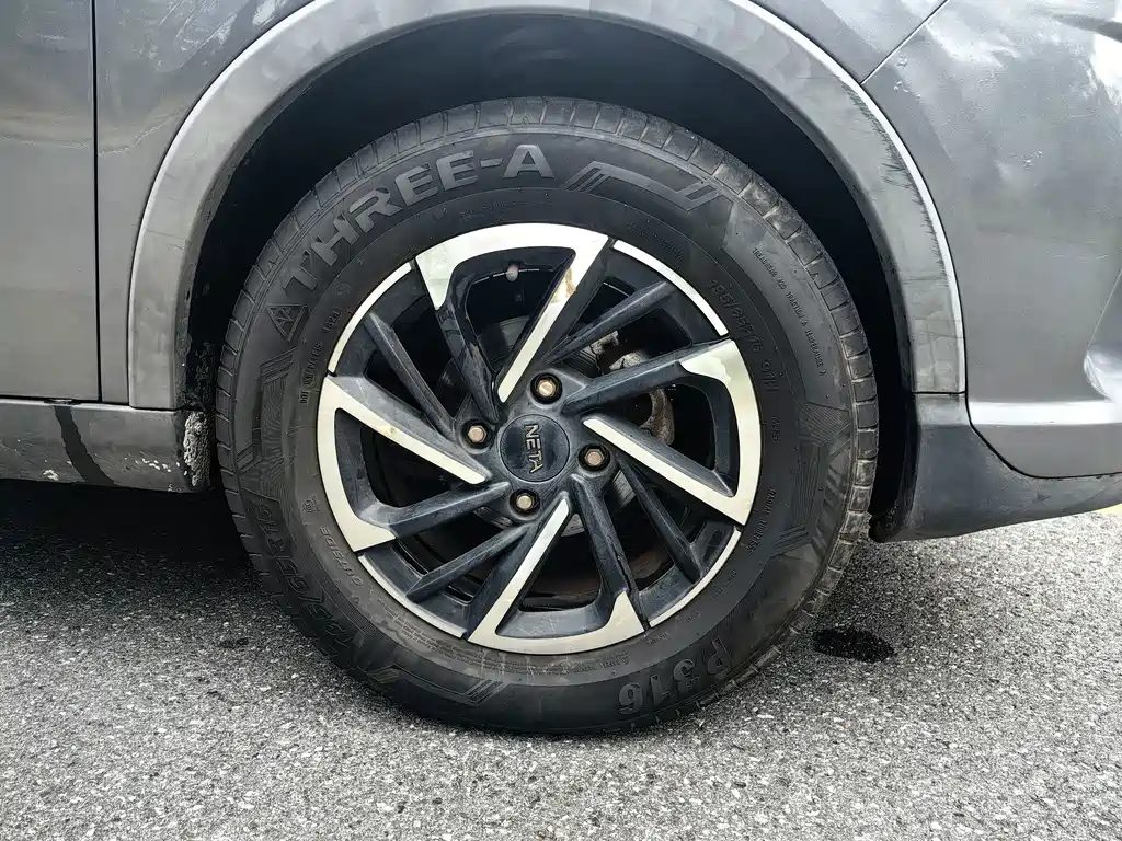 Neta Neta V — миниатюра 18