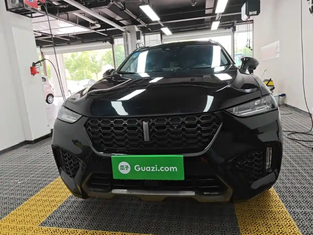 Wey VV7 2019 2.0T VI