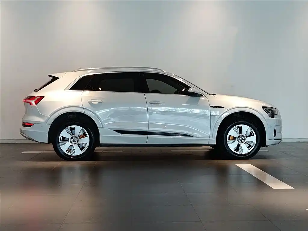 Audi e-tron (Import) — миниатюра 3