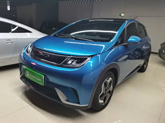 2022 BYD Dolphin