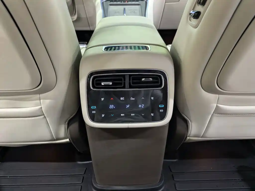 Denza Denza N8L — миниатюра 6