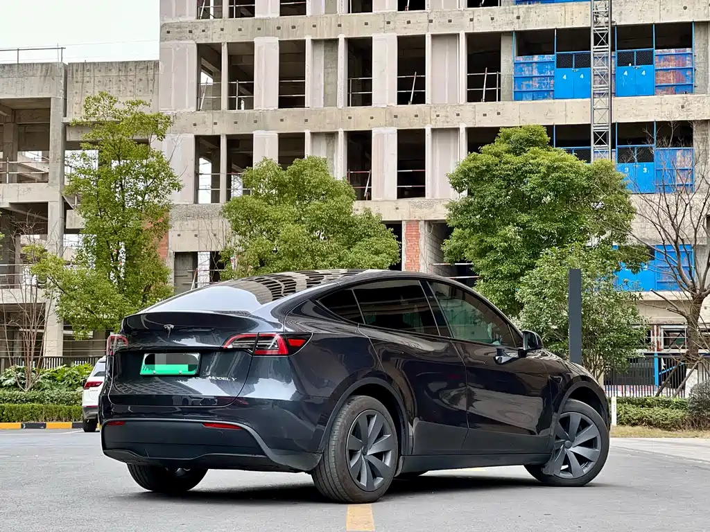 Tesla Model Y — миниатюра 19