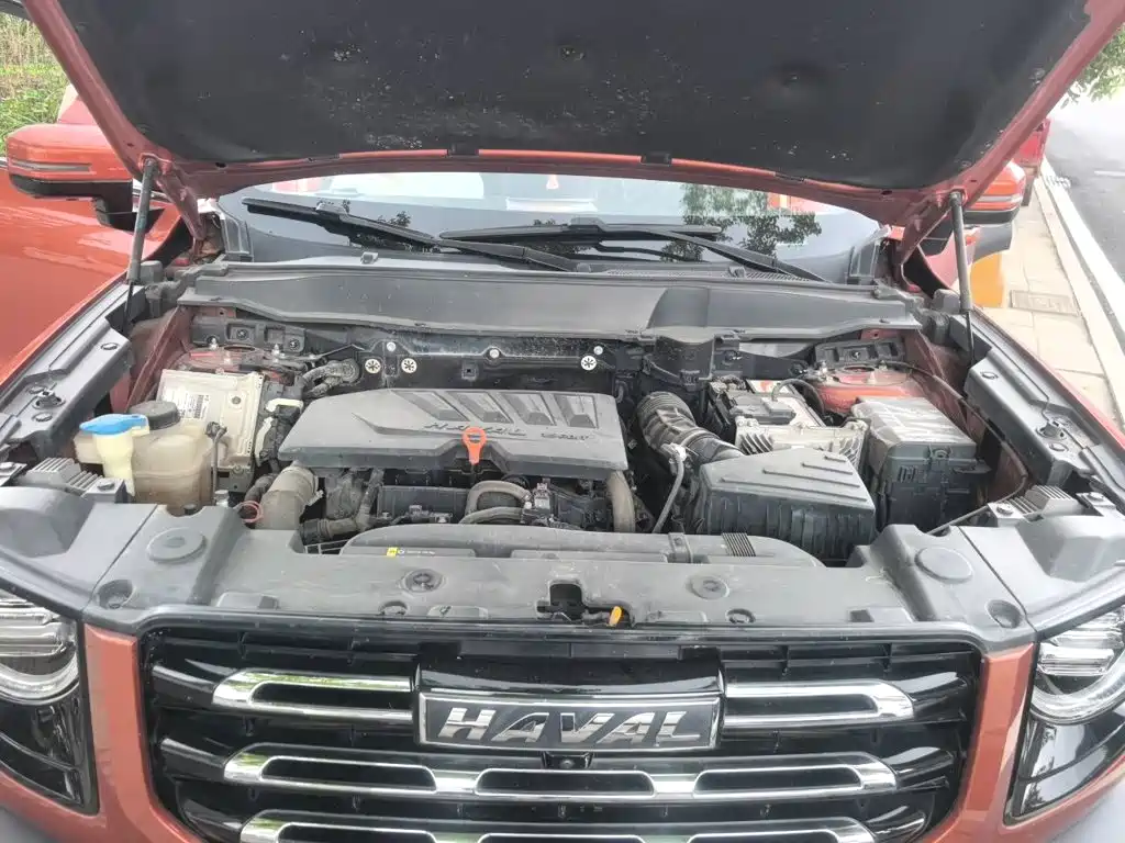 Haval Big Dog — миниатюра 11