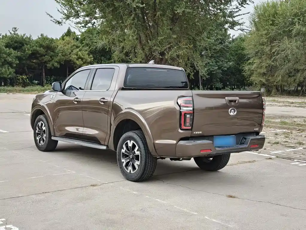 Great Wall Pao — миниатюра 11