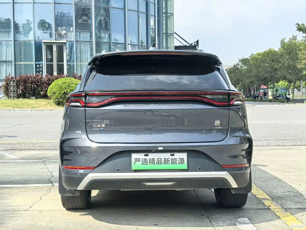 BYD Tang New Energy — миниатюра 24