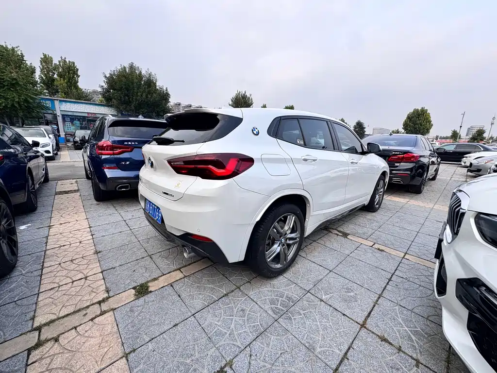 BMW X2 — миниатюра 2