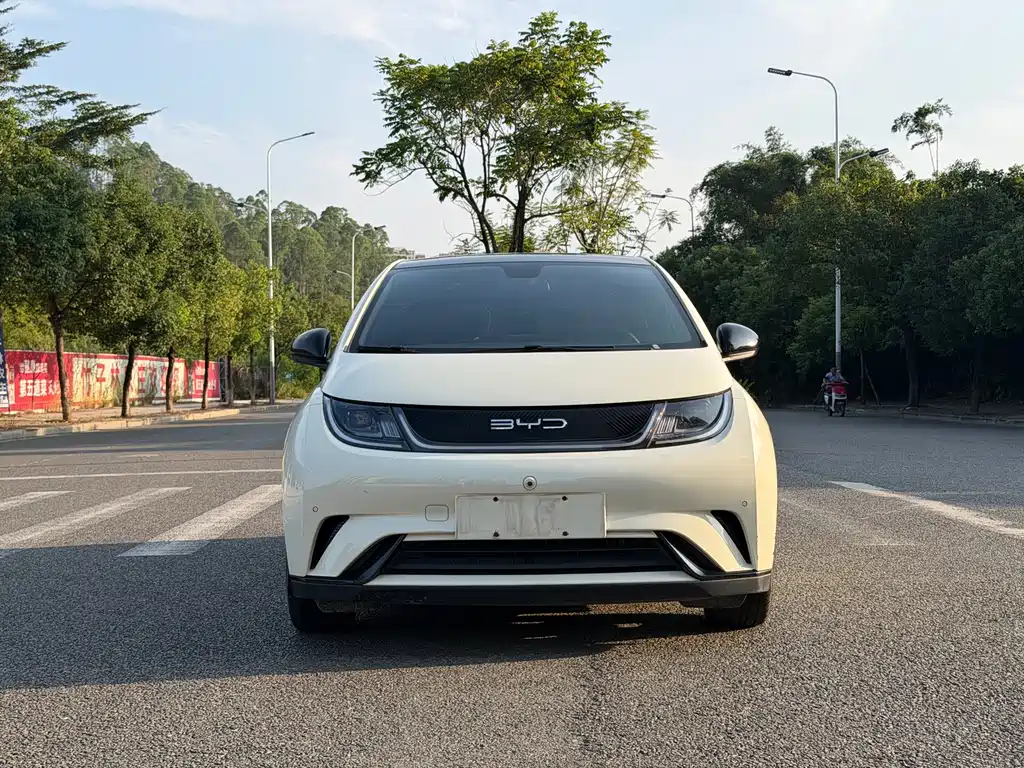 BYD Dolphin — миниатюра 2