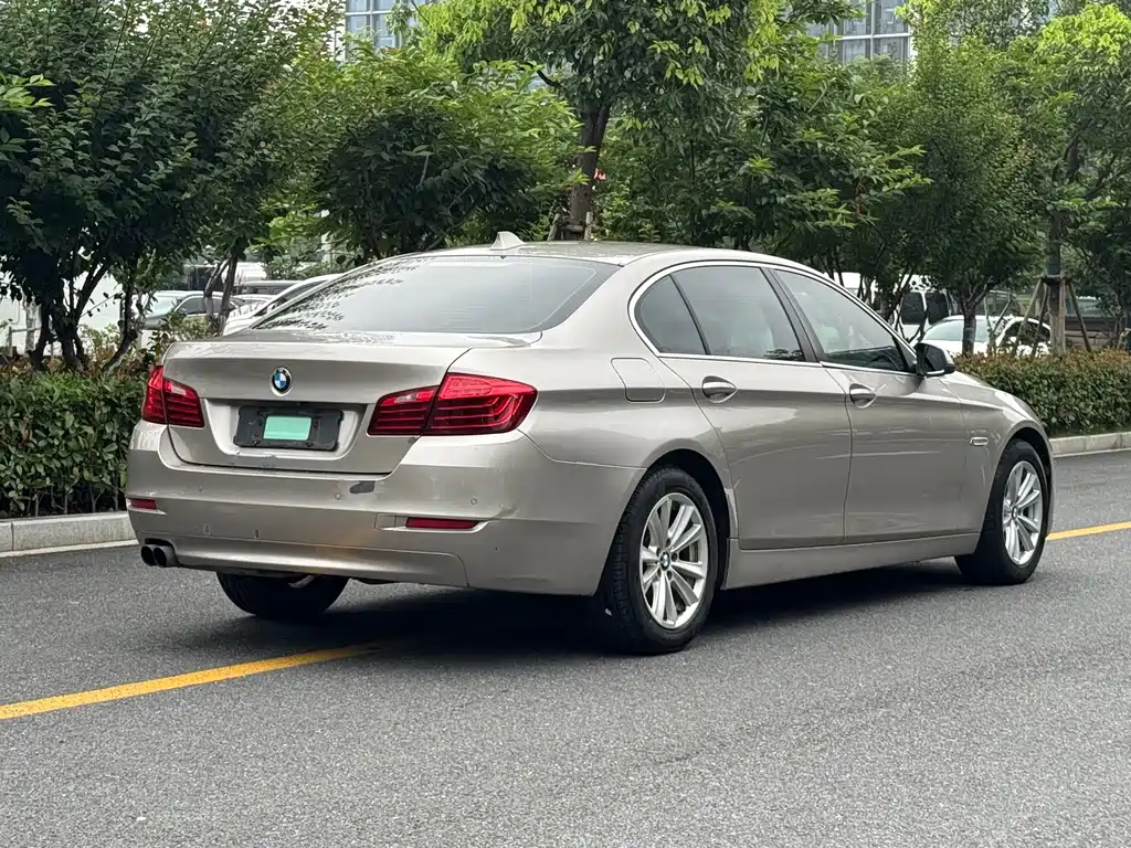 BMW 5 Series 5 2014 520Li Elegant