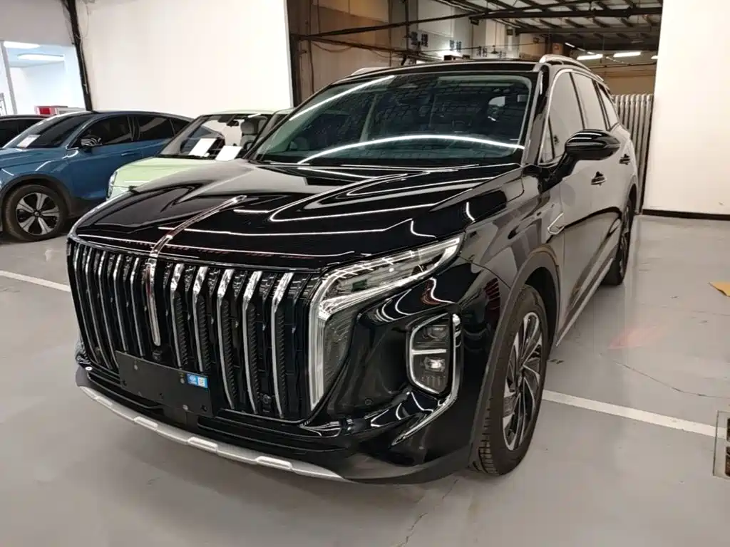 Hongqi Hongqi HS7 PHEV — миниатюра 2