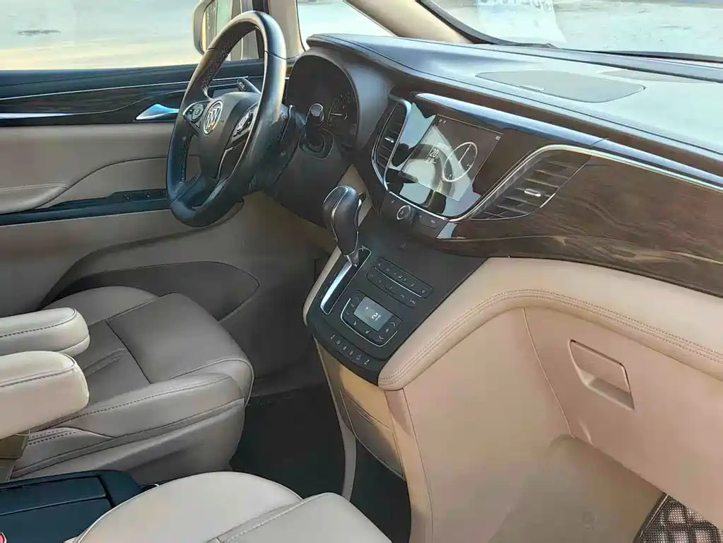 Buick GL8 — миниатюра 7