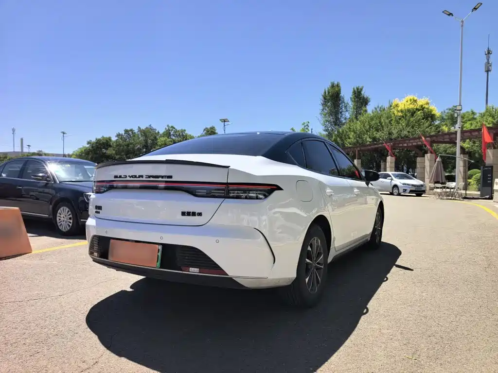 BYD Destroyer 05 2024 DM-i 55KM Luxury