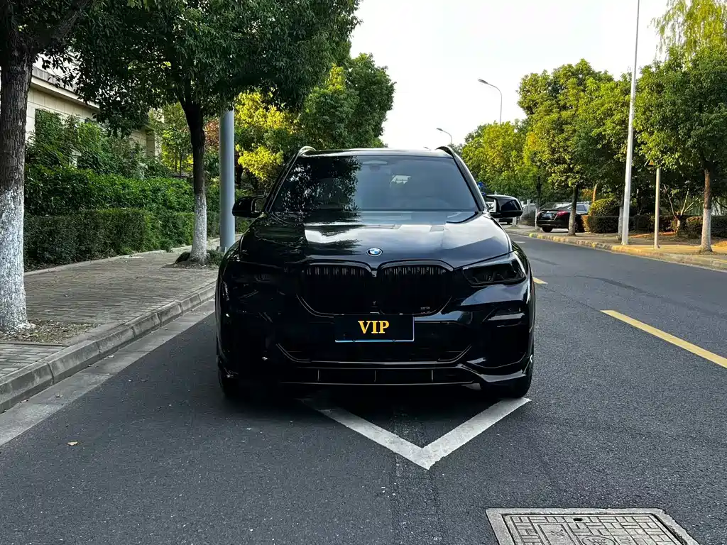 BMW X5 (Import) — миниатюра 2