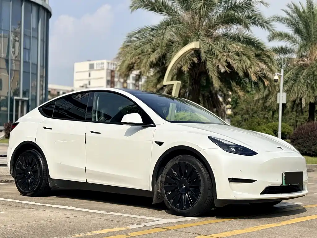 Tesla Model Y — миниатюра 3