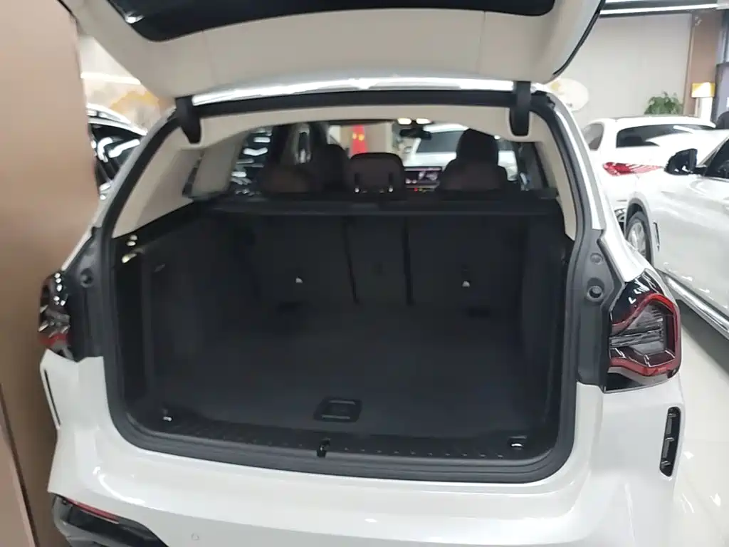 BMW X3 — миниатюра 19