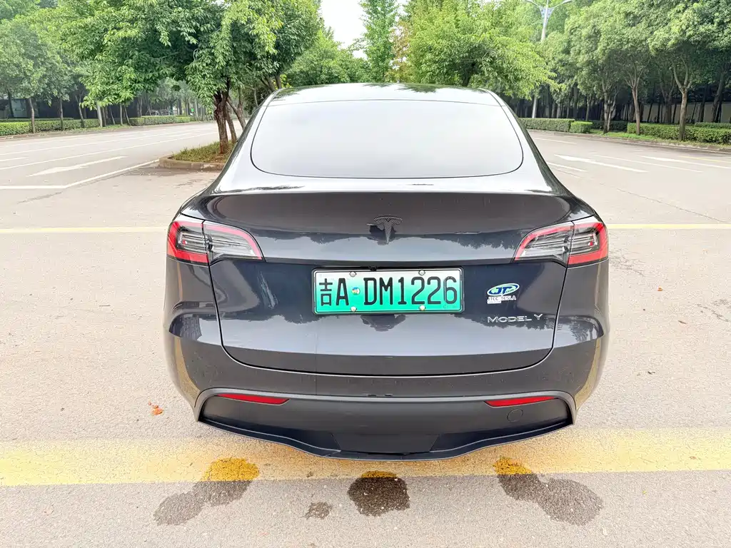 Tesla Model Y — миниатюра 9
