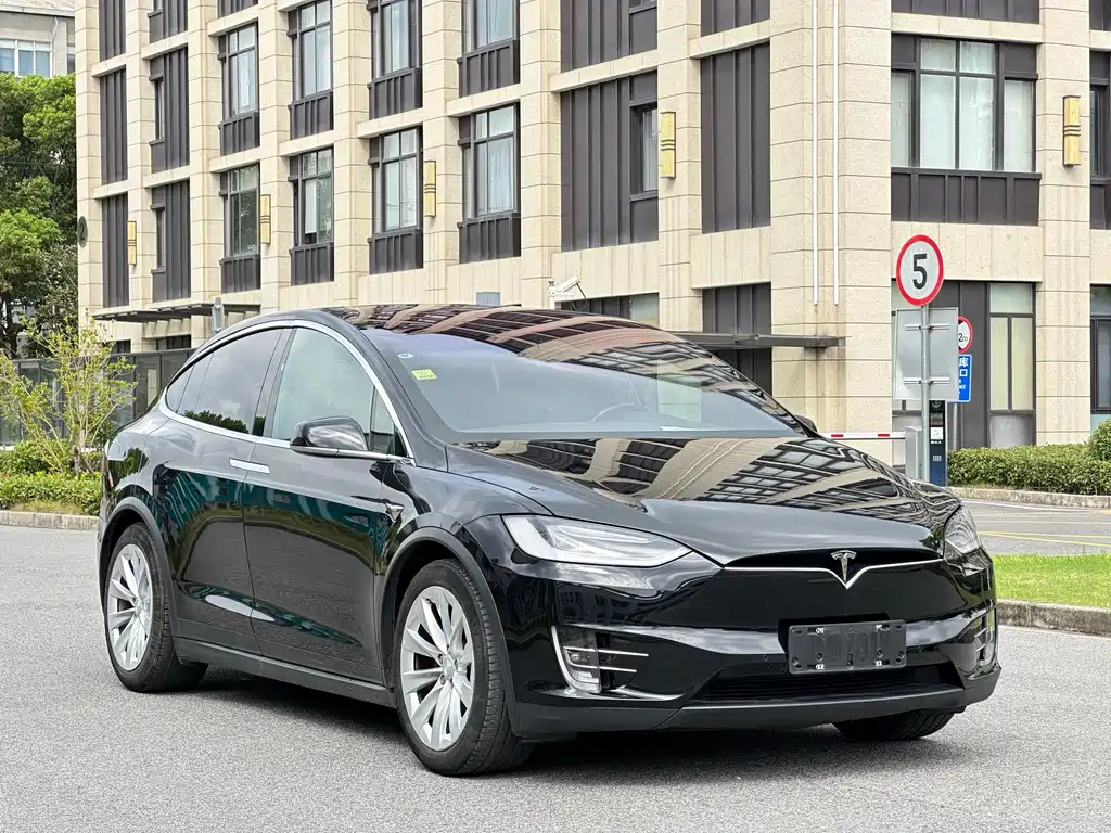Tesla Model X — миниатюра 3