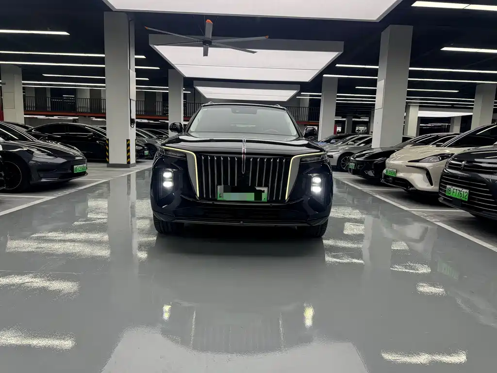 Hongqi Hongqi E-HS9 — миниатюра 2