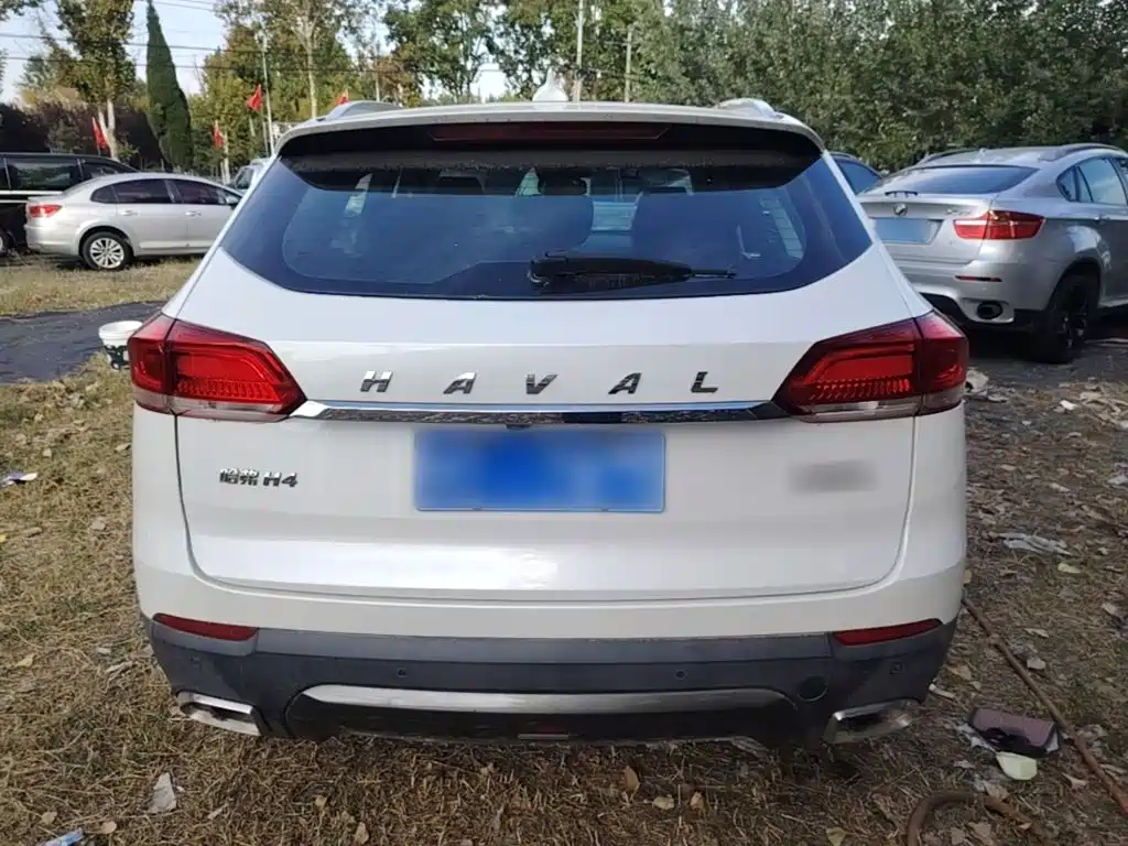 Haval H4 — миниатюра 6