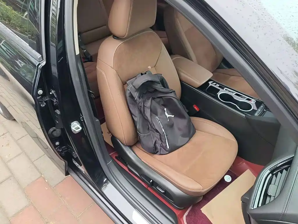 Buick Regal — миниатюра 25