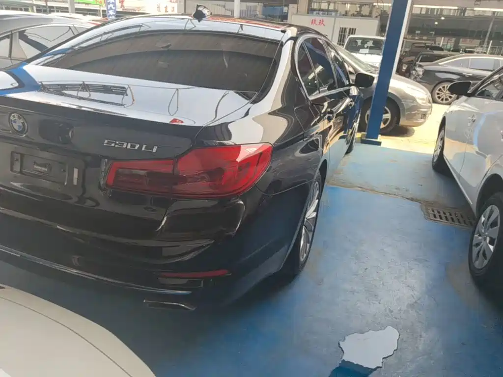 BMW 5 Series 5 2019 530Li Lead Luxury