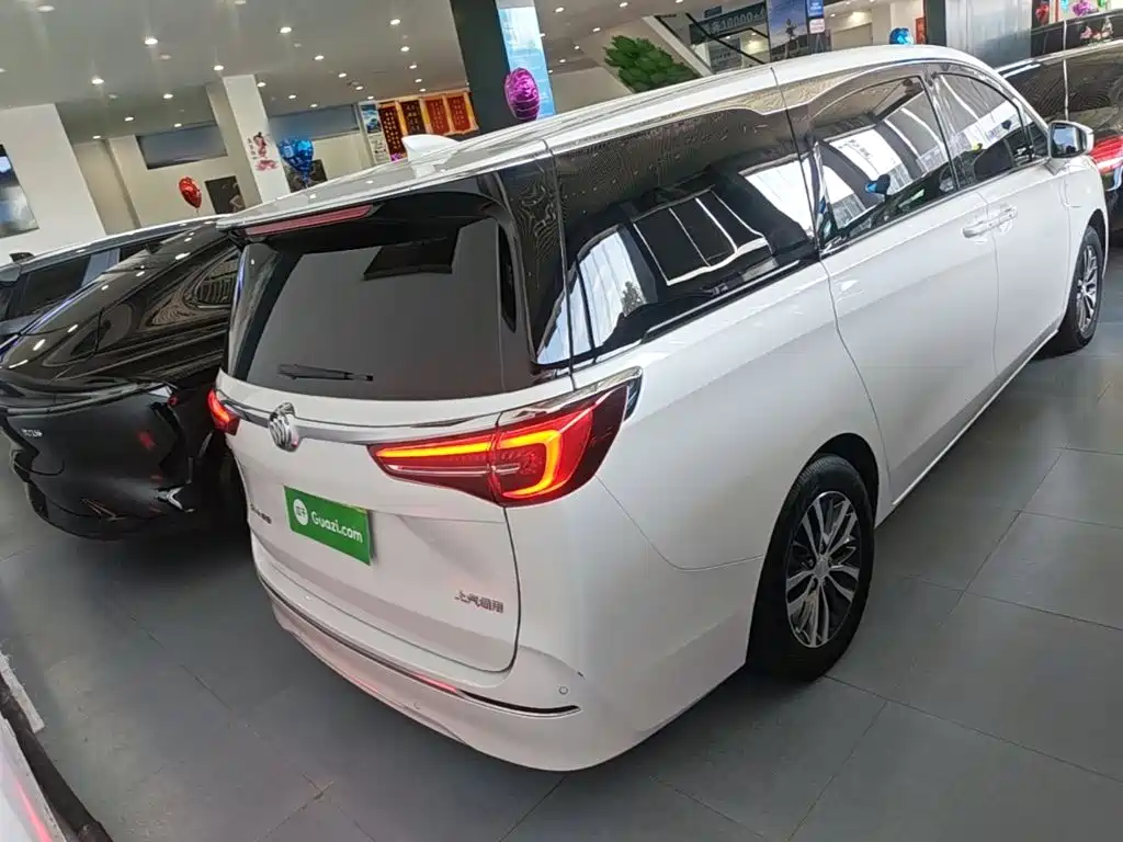 Buick GL8 — миниатюра 6