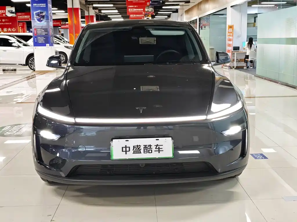 Tesla Model Y — миниатюра 2