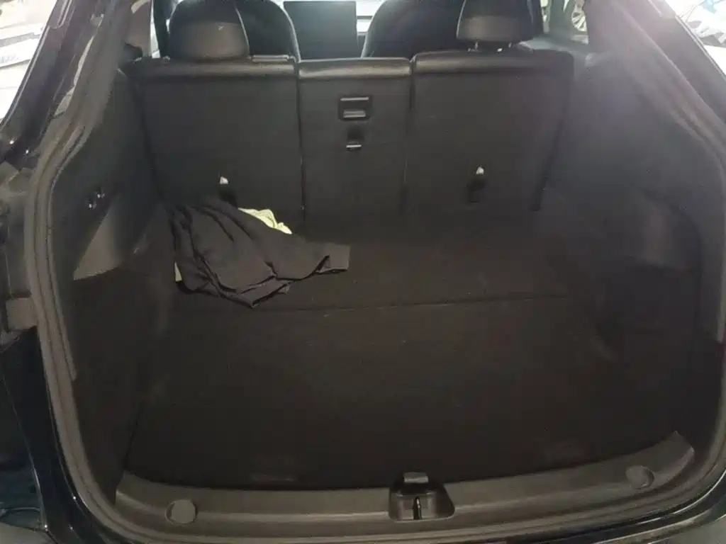 Tesla Model Y — миниатюра 19