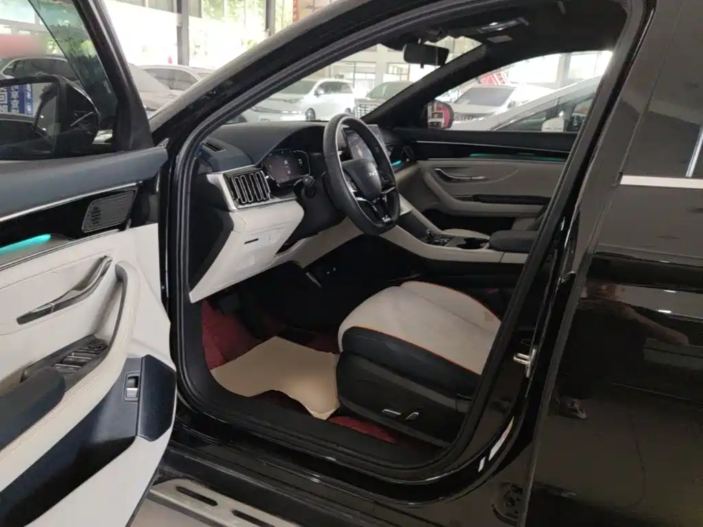 BYD PLUS New Energy — миниатюра 16