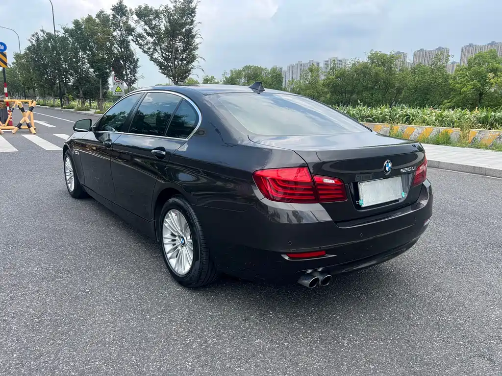 BMW 5 Series — миниатюра 5