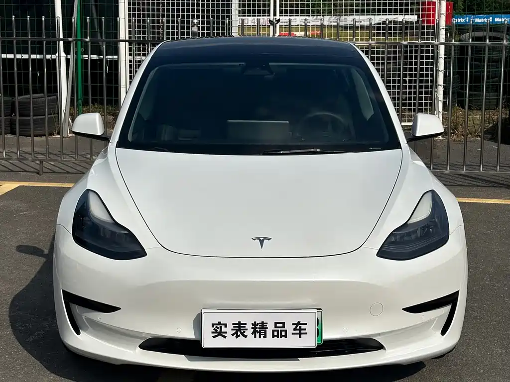 Tesla Model 3 — миниатюра 2