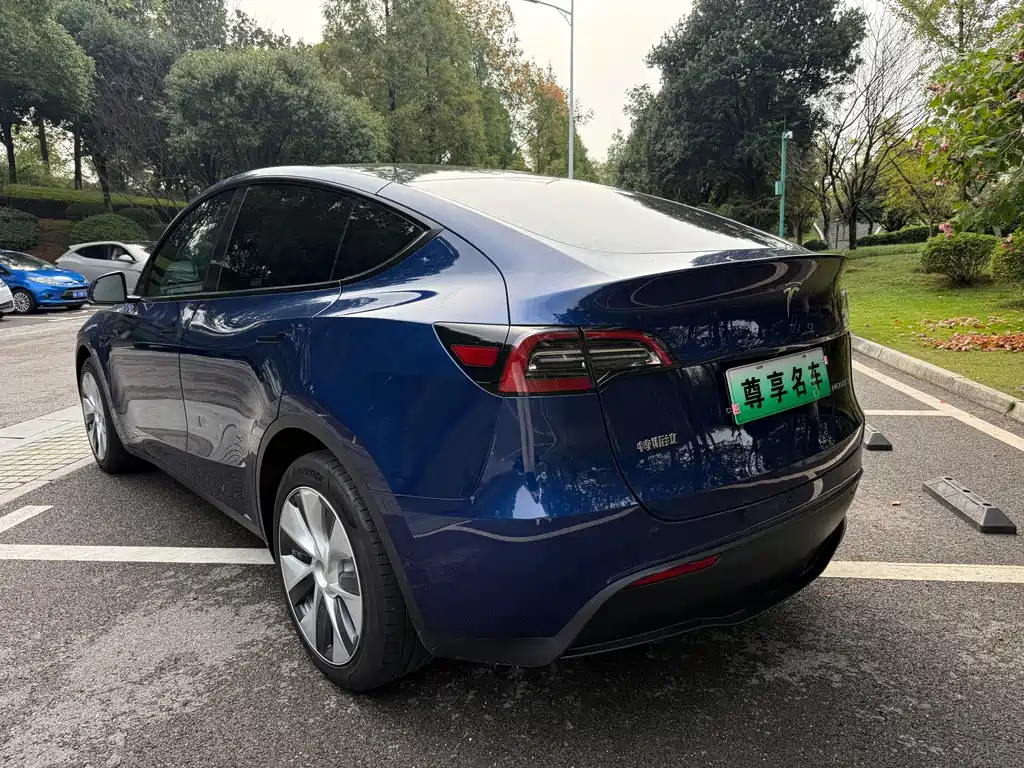 Tesla Model Y — миниатюра 15