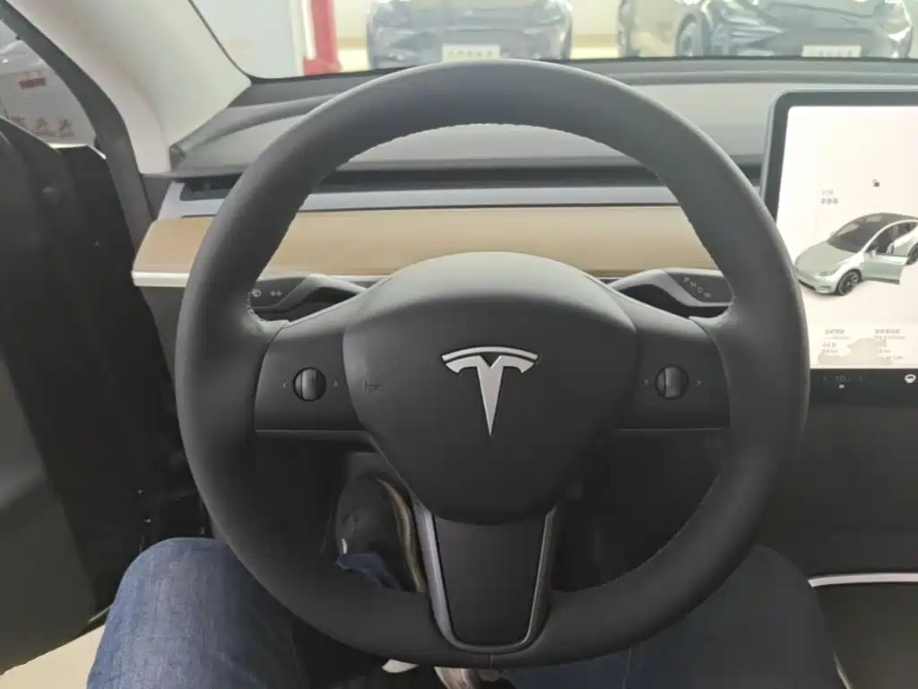 Tesla Model Y — миниатюра 11