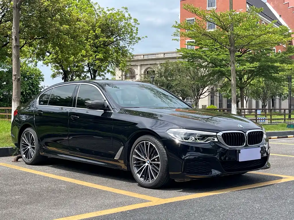 BMW 5 Series 5 2020 530Li Premium M Sport