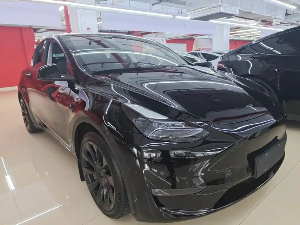 Tesla Model Y — миниатюра 4